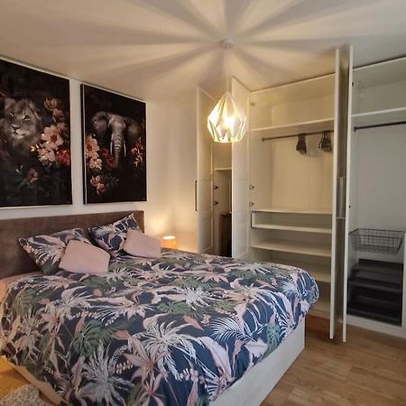Modern Jungle - Colmar Leilighet Eksteriør bilde